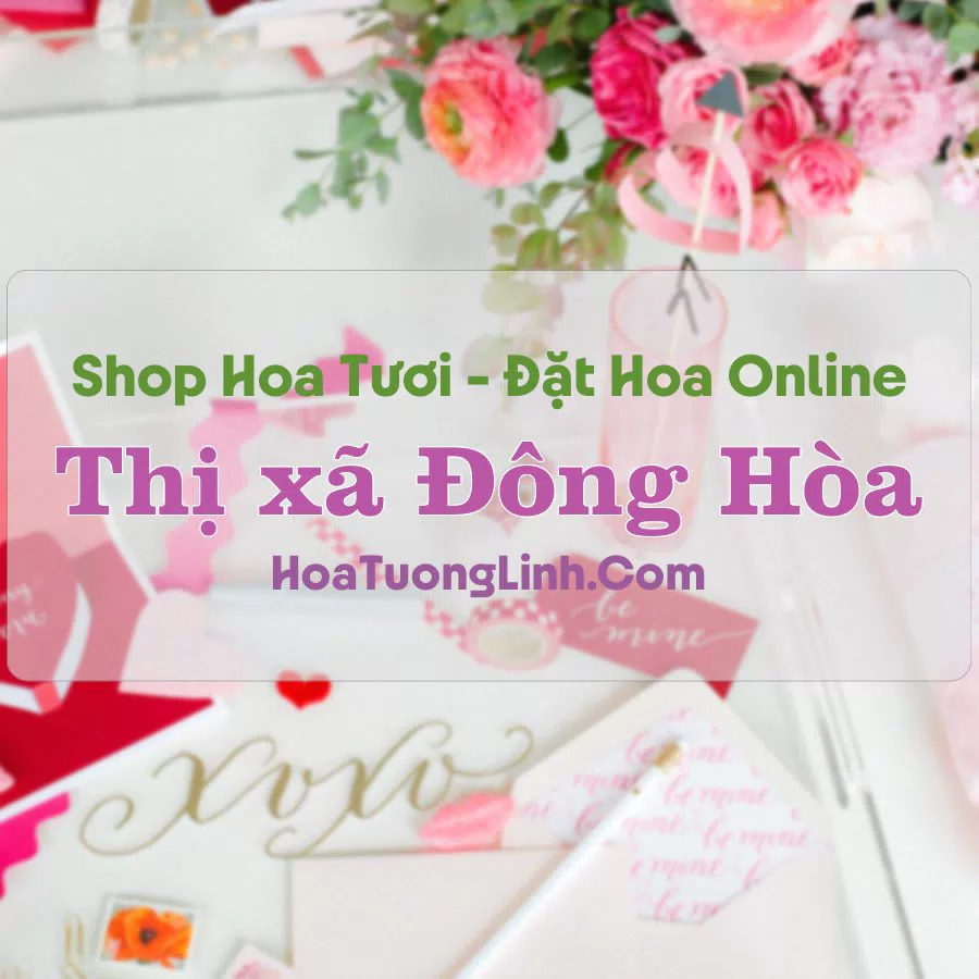 Shop Hoa Tươi Thị xã Đông Hòa – Phú Yên