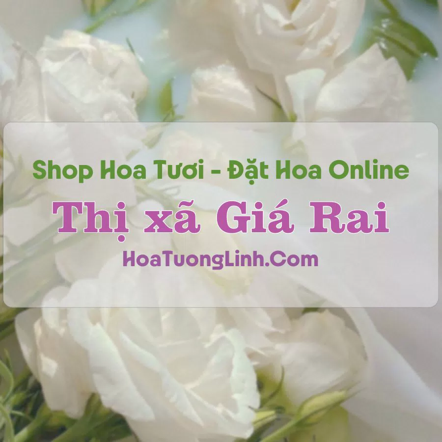 Shop Hoa Tươi Thị xã Giá Rai – Bạc Liêu