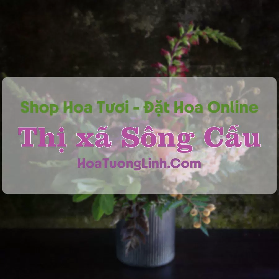 Shop Hoa Tươi Thị xã Sông Cầu – Phú Yên