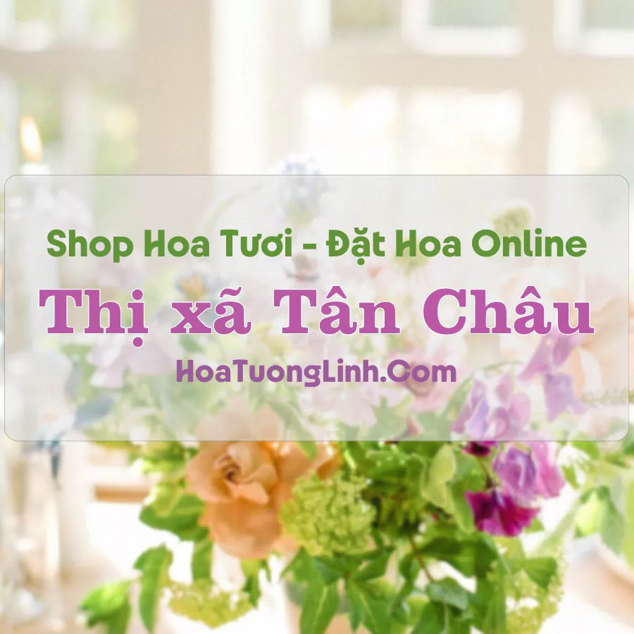 Shop Hoa Tươi Thị xã Tân Châu – An Giang