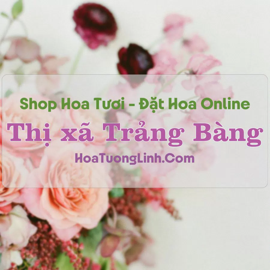 Shop Hoa Tươi Thị xã Trảng Bàng – Tây Ninh