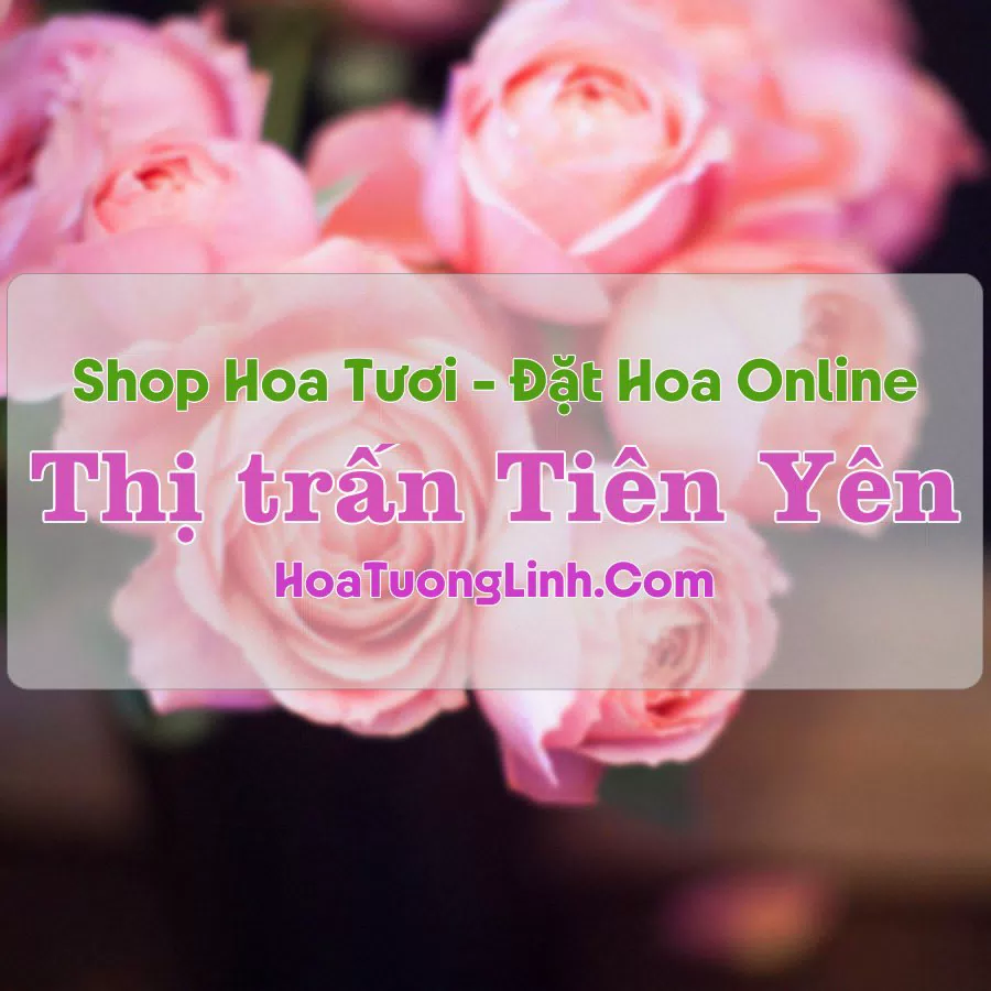 Shop Hoa Tươi Thị Trấn Tiên Yên – Quảng Ninh