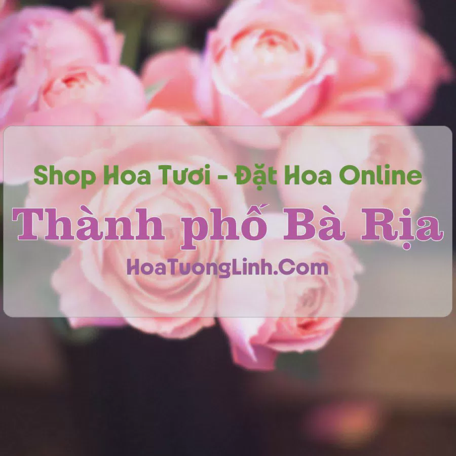 Shop Hoa Tươi Thành phố Bà Rịa - Bà Rịa - Vũng Tàu