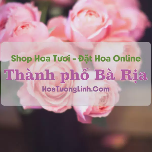 Shop Hoa Tươi Thành phố Bà Rịa - Bà Rịa - Vũng Tàu