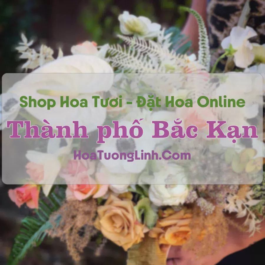 Shop Hoa Tươi Thành phố Bắc Kạn - Bắc Kạn