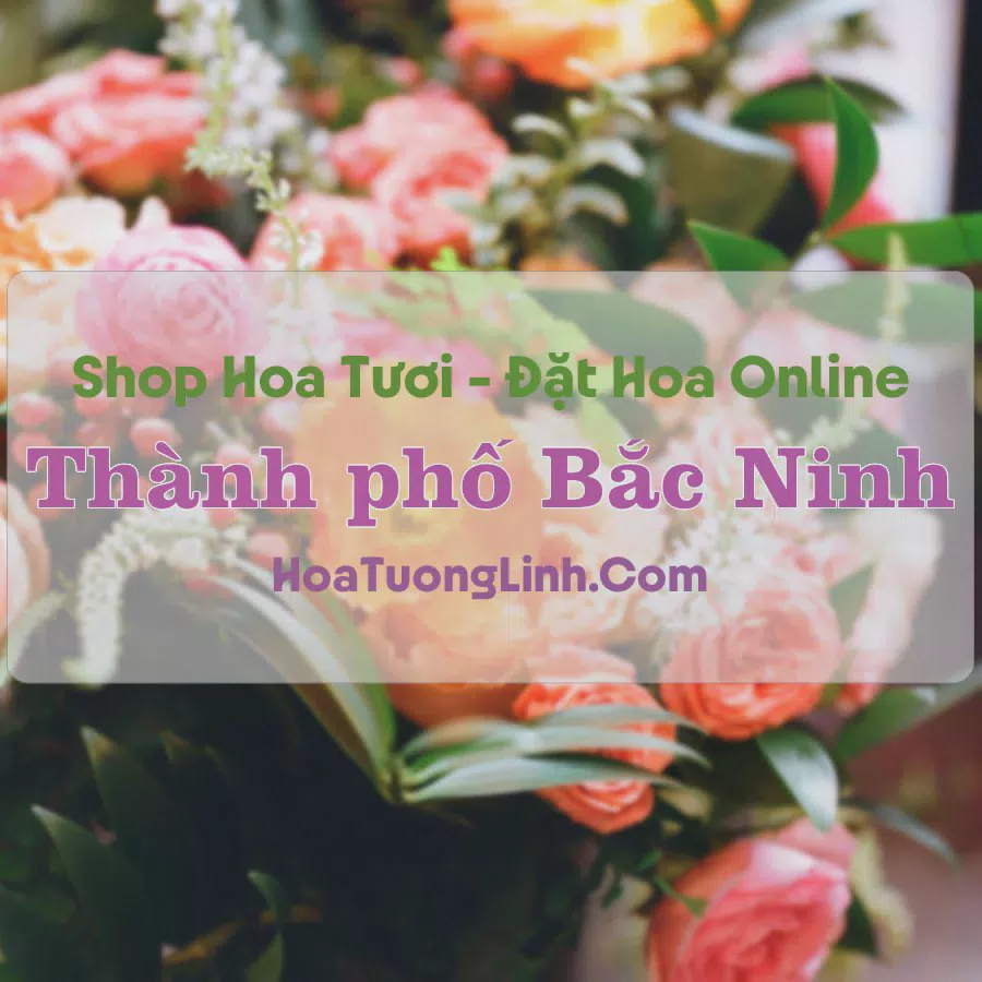 Shop Hoa Tươi Thành Phố Bắc Ninh