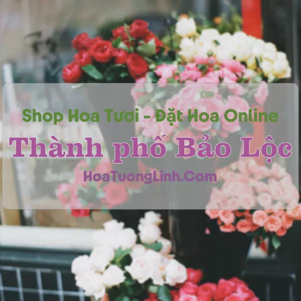 Shop Hoa Tươi TP Bảo Lộc - Lâm Đồng