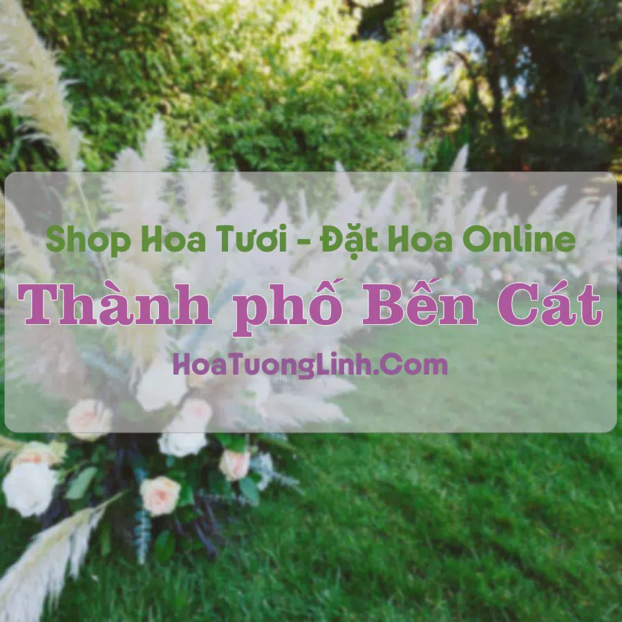Shop Hoa Tươi Thành phố Bến Cát - Bình Dương