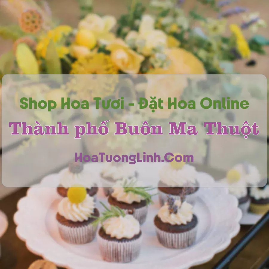 Shop Hoa Tươi TP Buôn Ma Thuột - Đắk Lắk
