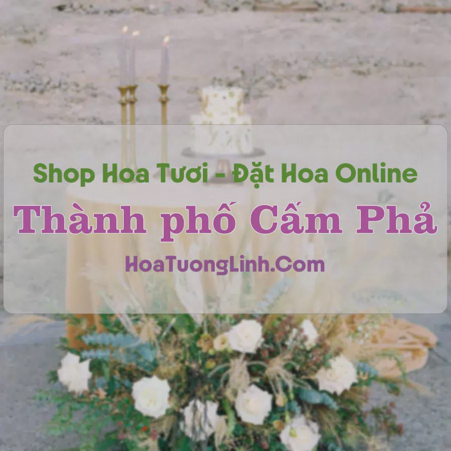 Shop Hoa Tươi Thành phố Cẩm Phả - Quảng Ninh