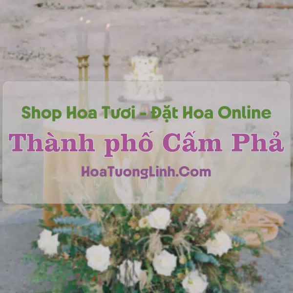 Shop Hoa Tươi Thành phố Cẩm Phả - Quảng Ninh