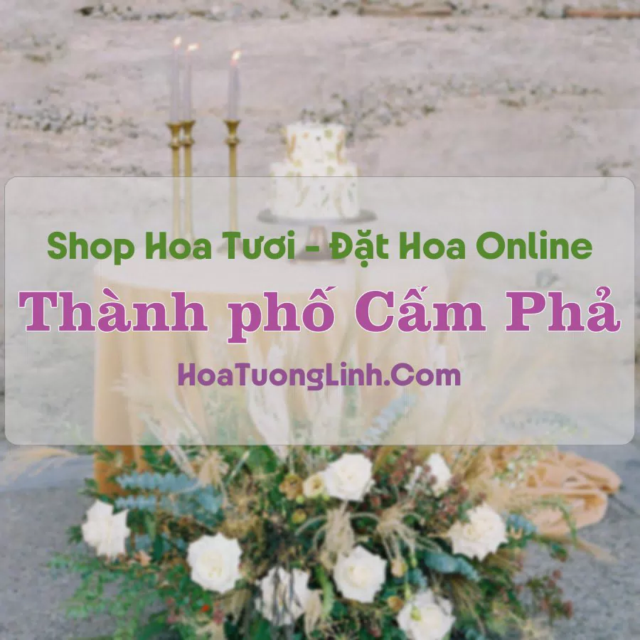 Shop Hoa Tươi Thành phố Cẩm Phả – Quảng Ninh