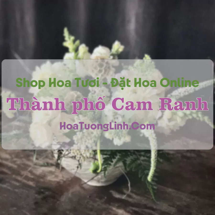 Shop Hoa Tươi Thành phố Cam Ranh - Khánh Hòa