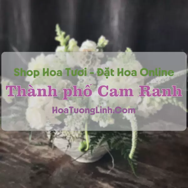 Shop Hoa Tươi Thành phố Cam Ranh - Khánh Hòa