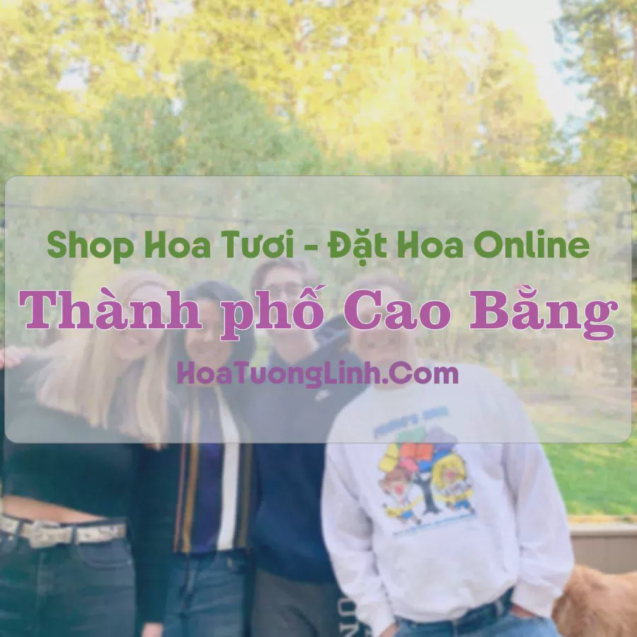 Shop Hoa Tươi Thành phố Cao Bằng - Cao Bằng