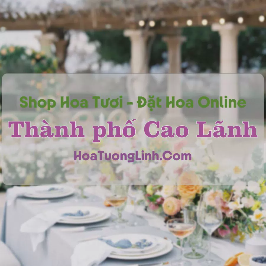 Shop Hoa Tươi Thành Phố Cao Lãnh - Đồng Tháp