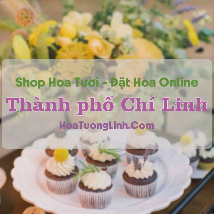 Shop Hoa Tươi Thành Phố Chí Linh - Hải Dương