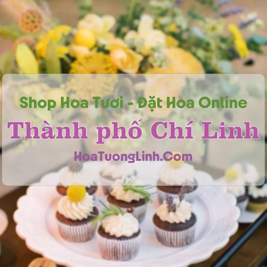 Shop Hoa Tươi Thành Phố Chí Linh – Hải Dương