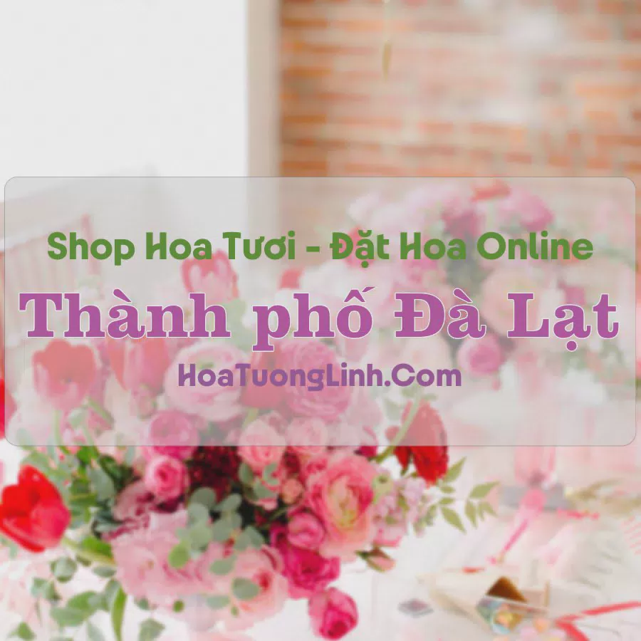 Shop Hoa Tươi TP Đà Lạt - Lâm Đồng