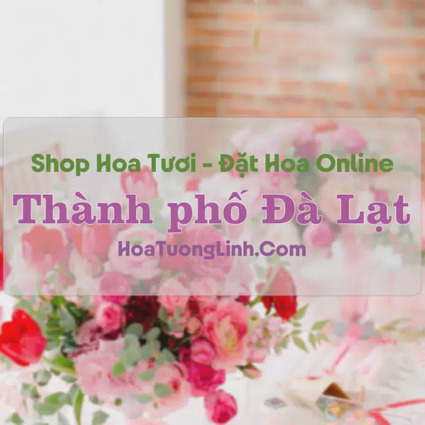 Shop Hoa Tươi TP Đà Lạt - Lâm Đồng