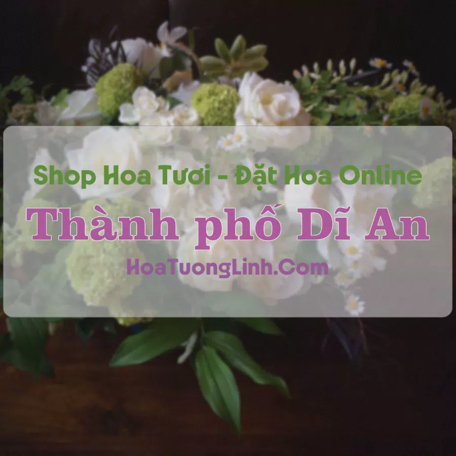 Shop Hoa Tươi Thành Phố Dĩ An - Bình Dương