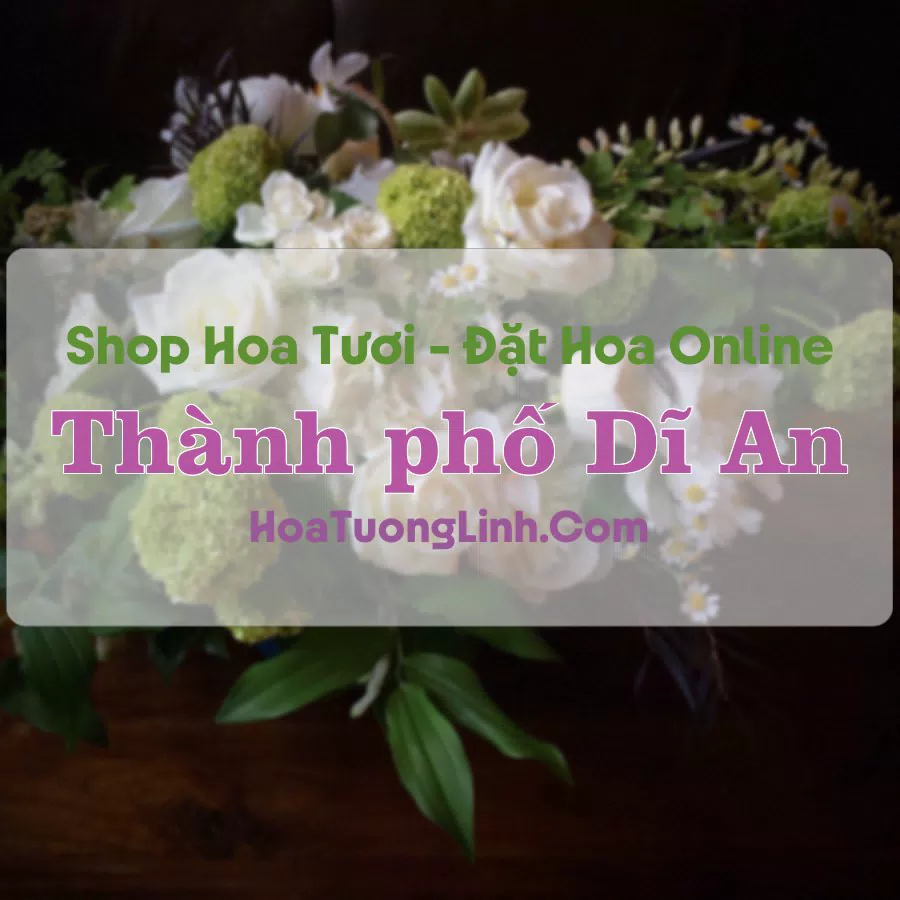 Shop Hoa Tươi Thành Phố Dĩ An – Bình Dương