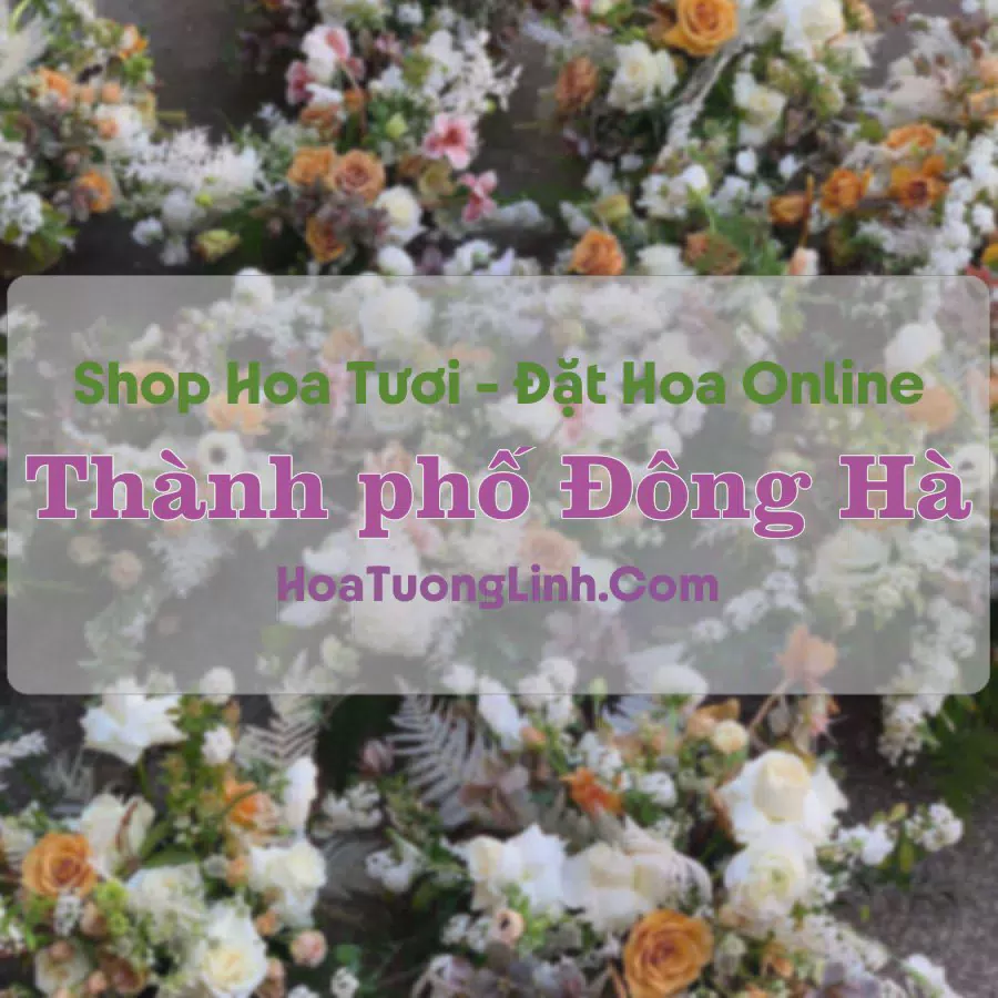 Shop Hoa Tươi Thành phố Đông Hà - Quảng Trị