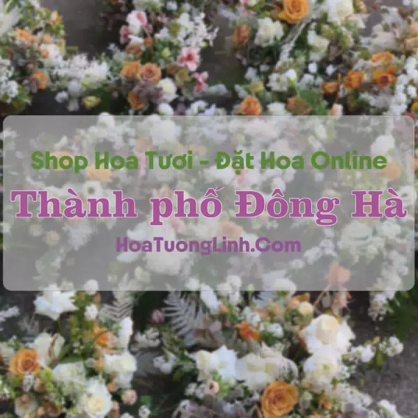 Shop Hoa Tươi Thành phố Đông Hà - Quảng Trị