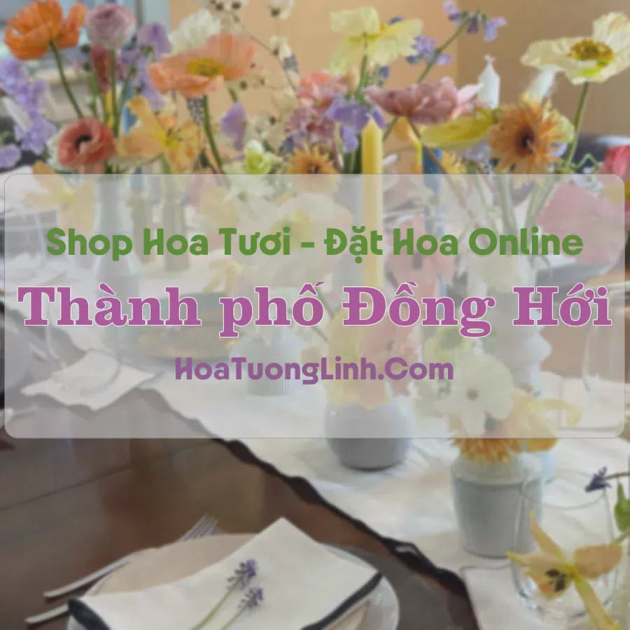 Shop Hoa Tươi Thành phố Đồng Hới - Quảng Bình