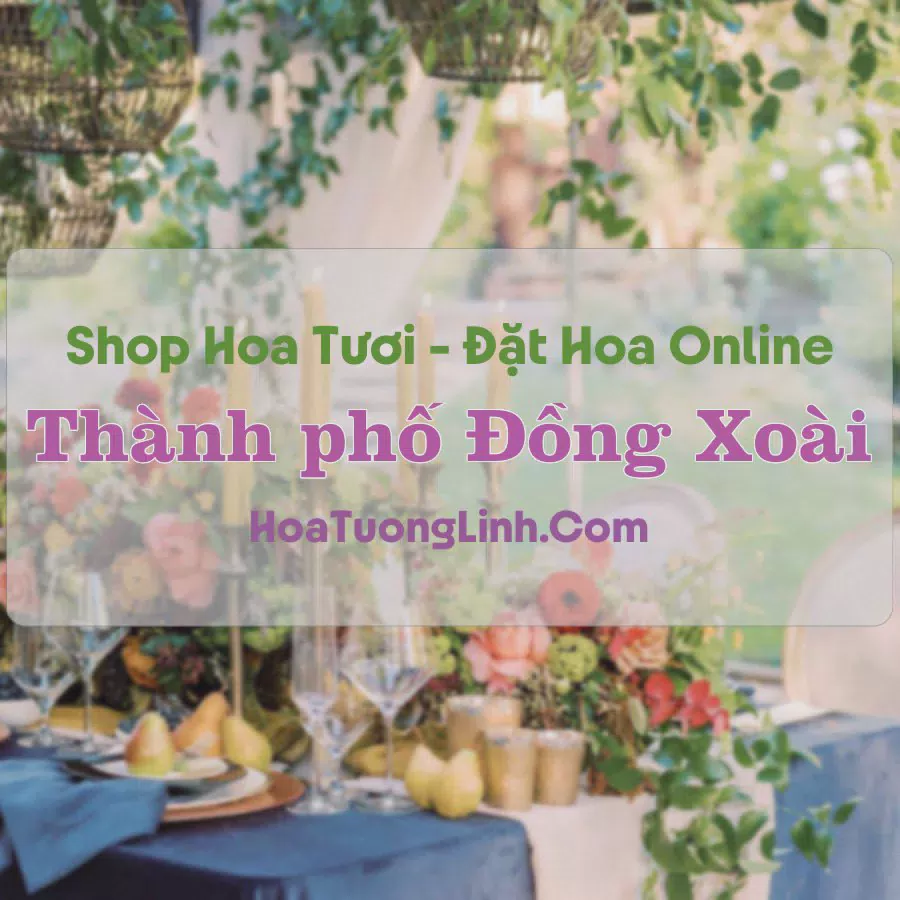 Shop Hoa Tươi Thành Phố Đồng Xoài - Bình Phước