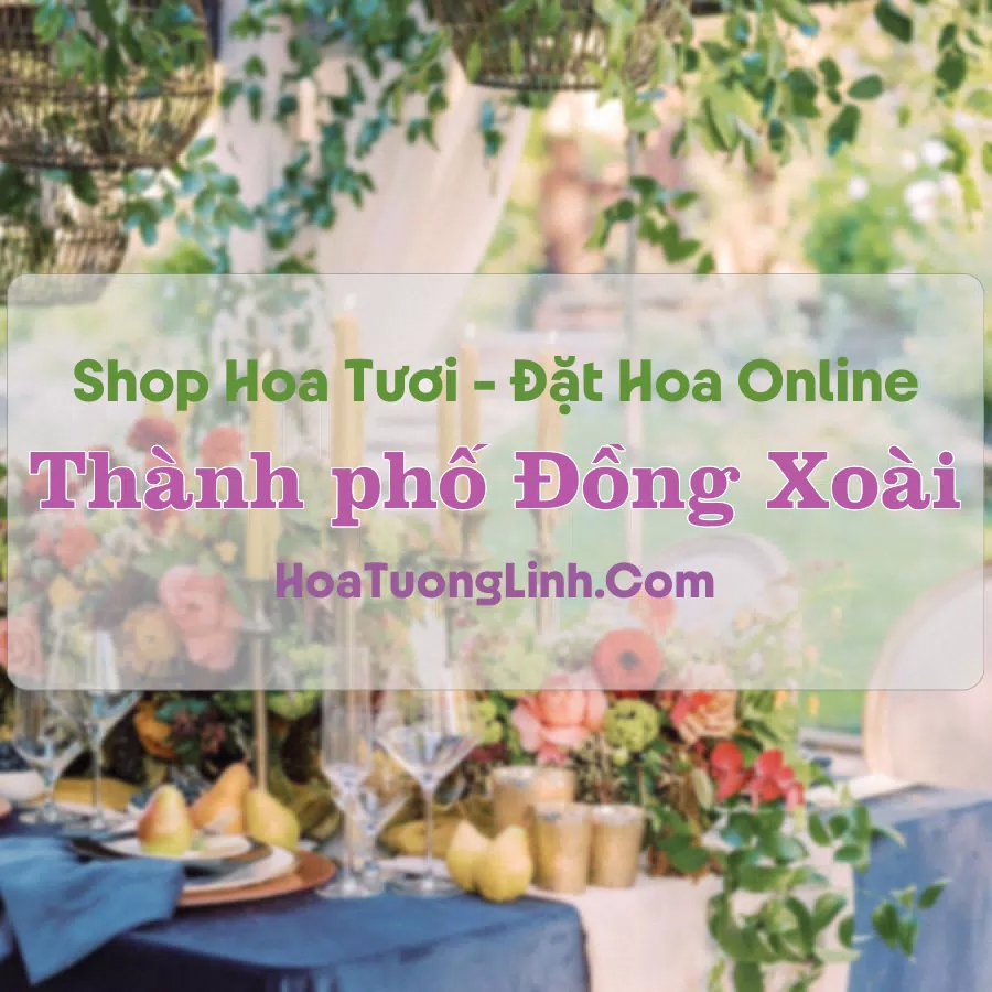 Shop Hoa Tươi Thành Phố Đồng Xoài – Bình Phước