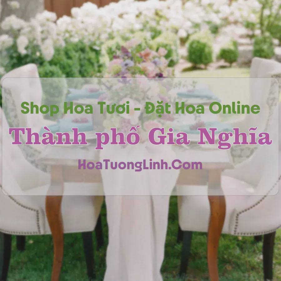 Shop Hoa Tươi TP Gia Nghĩa - Đắk Nông