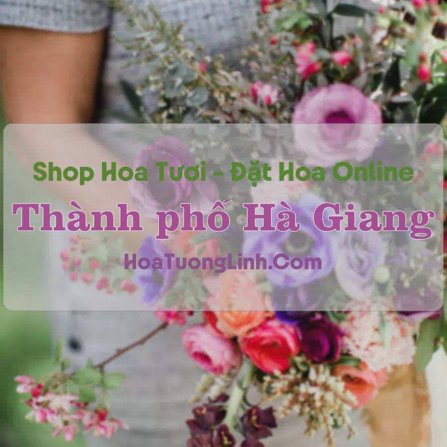 Shop Hoa Tươi Thành phố Hà Giang - Hà Giang