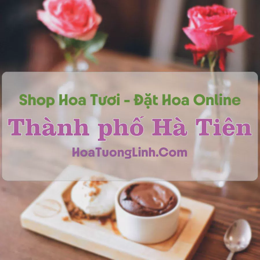 Shop Hoa Tươi Thành Phố Hà Tiên - Kiên Giang
