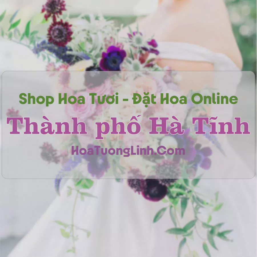 Shop Hoa Tươi Thành phố Hà Tĩnh - Hà Tĩnh