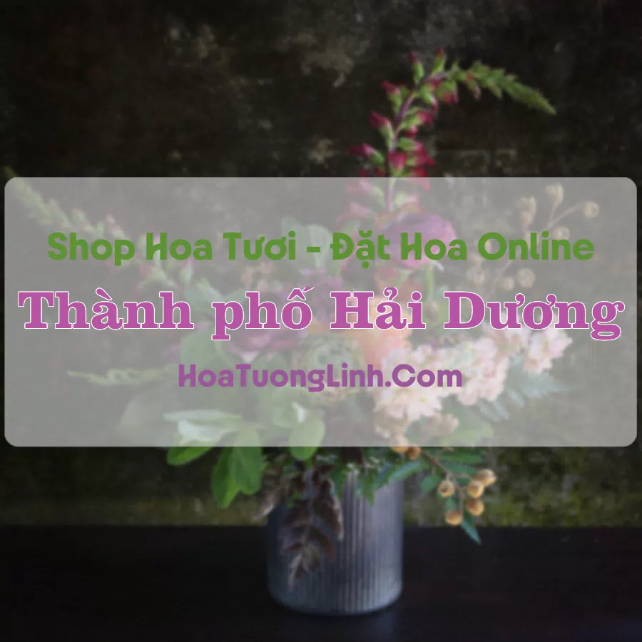 Shop Hoa Tươi Thành Phố Hải Dương