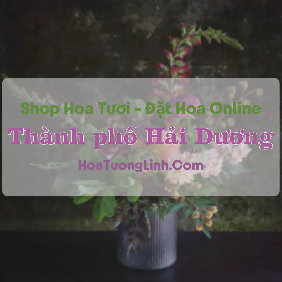 Shop Hoa Tươi Thành Phố Hải Dương