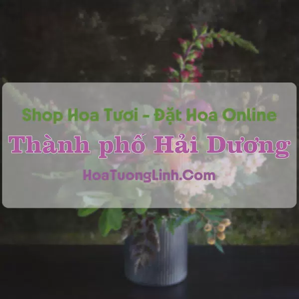 Shop Hoa Tươi Thành Phố Hải Dương