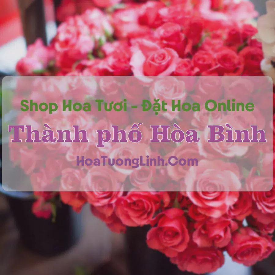 Shop Hoa Tươi Thành Phố Hòa Bình - Hòa Bình
