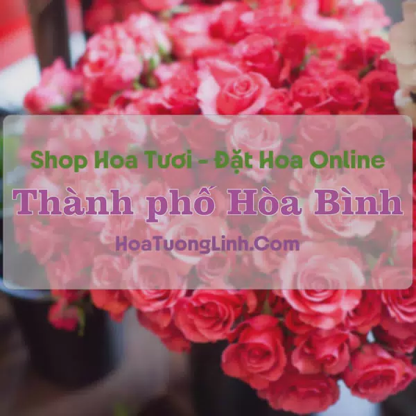 Shop Hoa Tươi Thành Phố Hòa Bình - Hòa Bình