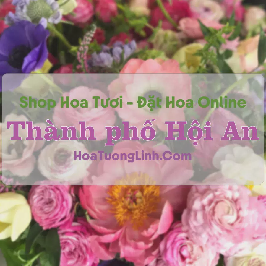 Shop Hoa Tươi Thành phố Hội An - Quảng Nam
