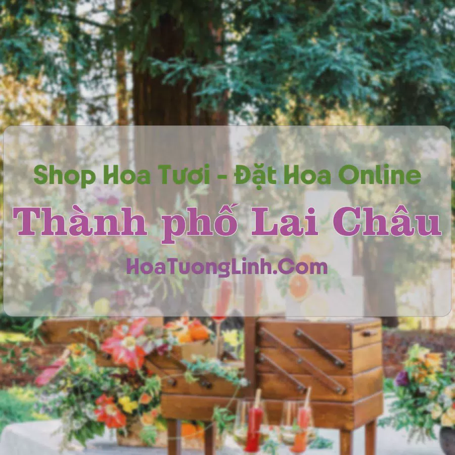 Shop Hoa Tươi Thành Phố Lai Châu - Lai Châu