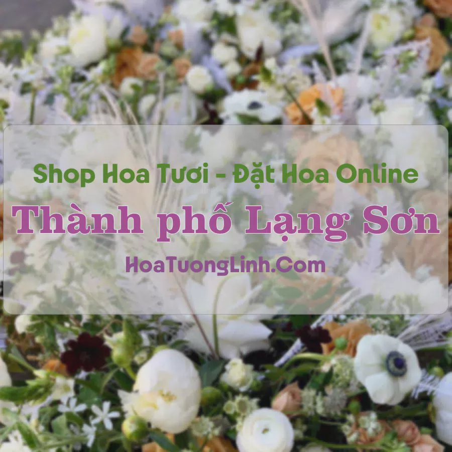 Shop Hoa Tươi TP Lạng Sơn - Lạng Sơn