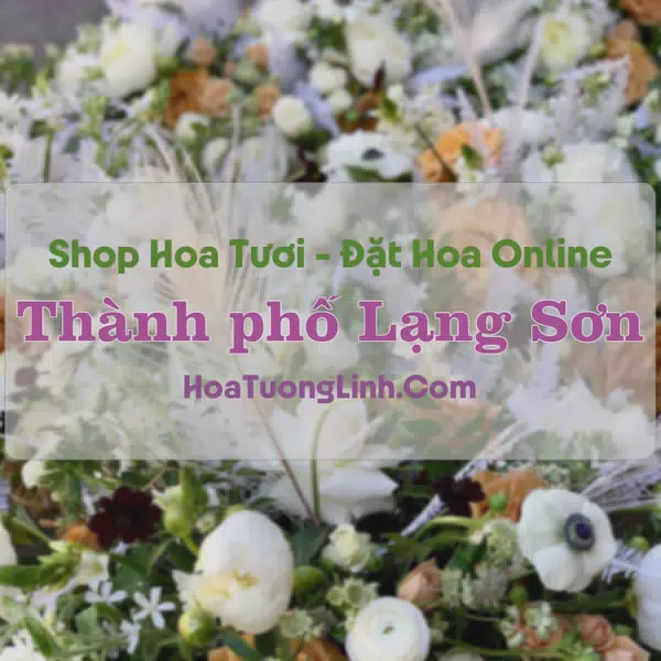 Shop Hoa Tươi TP Lạng Sơn - Lạng Sơn