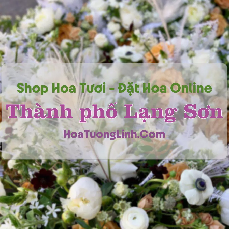 Shop Hoa Tươi TP Lạng Sơn – Lạng Sơn