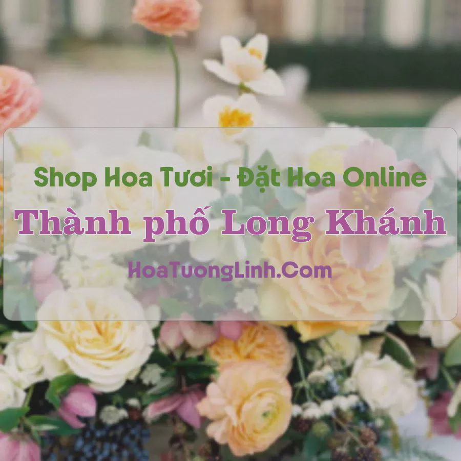 Shop Hoa Tươi TP Long Khánh - Đồng Nai