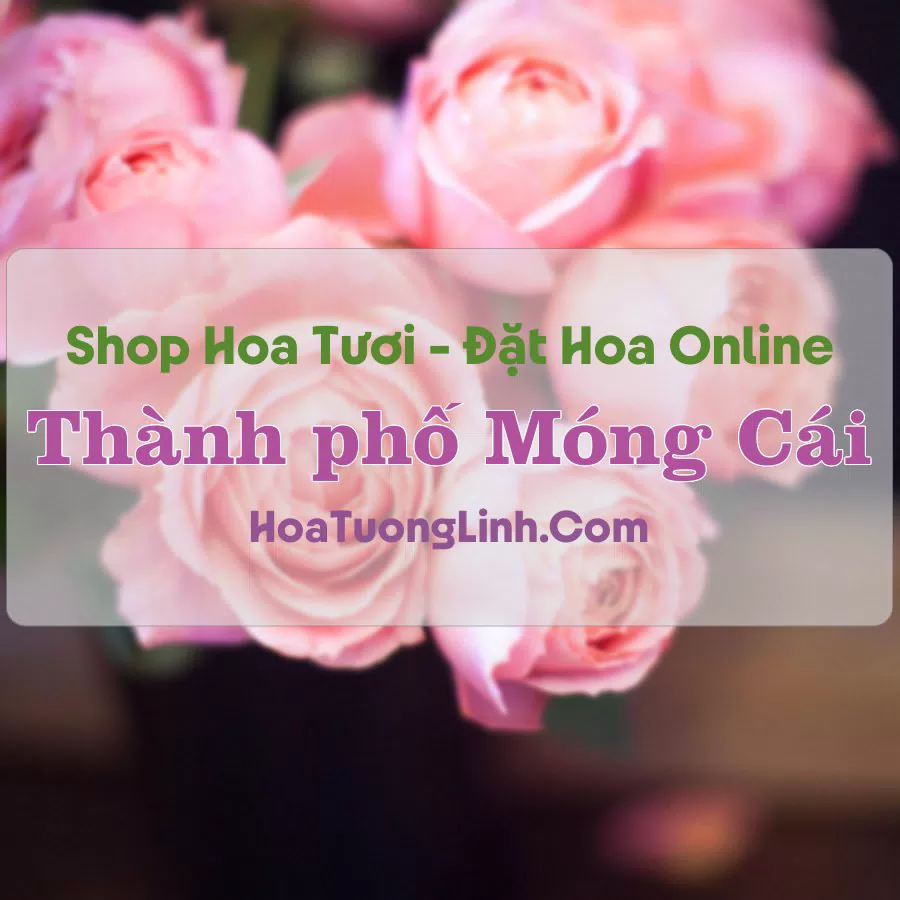Shop Hoa Tươi Thành phố Móng Cái – Quảng Ninh