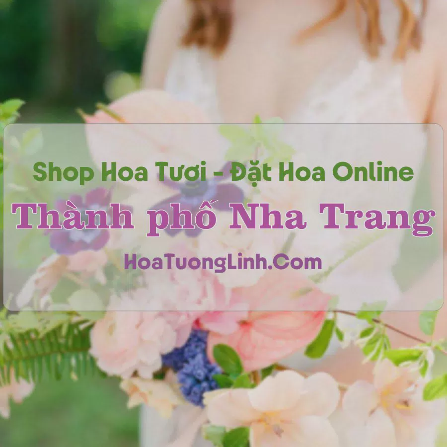 Shop Hoa Tươi Thành phố Nha Trang - Khánh Hòa