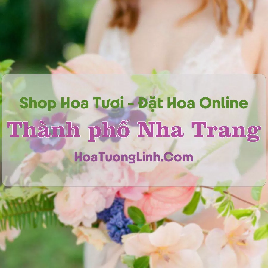 Shop Hoa Tươi Thành phố Nha Trang – Khánh Hòa