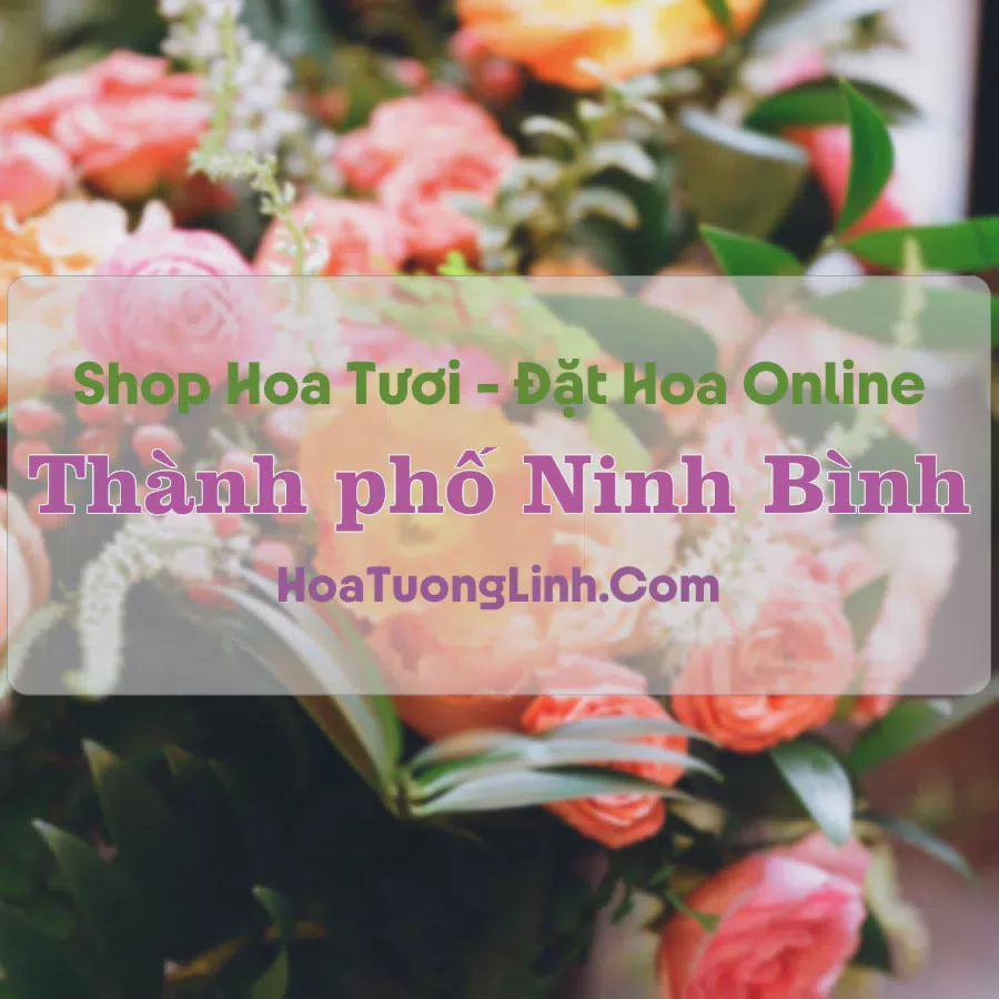 Shop Hoa Tươi Thành phố Ninh Bình - Ninh Bình